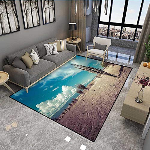 Floor Mat,Abandoned Desert with Dried Cactus Flowers on a Sunny Hot Summer Day Photo Image,3169D Printing Area Rug,Multicolor 6'6"x10'