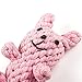 Dog Toys oneisall Pet Cotton Chew Rope Toy Dental Teaser Teeth Cleanning for Small Dog Puppy Biting Rabbit