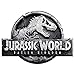 Unique Jurassic World 2 Jumbo Party Gift Bag