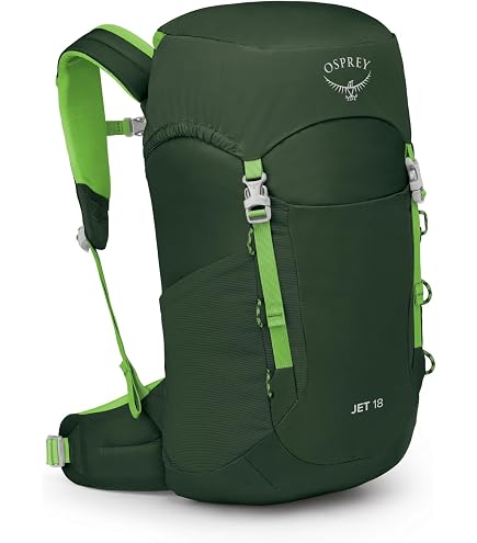 Amazon.com : Osprey Ace Kids' Backpacking Backpack : Sports & Outdoors