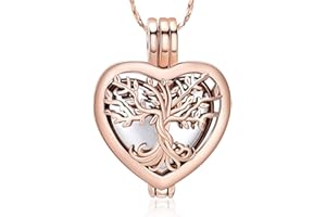Infinity Crystal Cremation Jewelry for Ashes Pendant Holder Heart Urns for Pet/Human Memorial Ash Necklace for Women - Free F