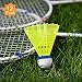 ZHENAN Badminton Birdies,12 Pack Nylon Badminton Shuttlecocks-Hight Speed Batting Training Practice Birdie Ball for Indoor and Outdoor Sports Matches,Highly Stable & Durable Shuttle Balls