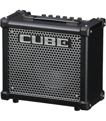 Amazon.com: Roland Lite Tabletop Monitor Amplifier, Black (Cube-LT