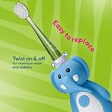 Brush-Baby WildOnes Replacement Brush Heads Pack of 4 Ages 0-10 view 6