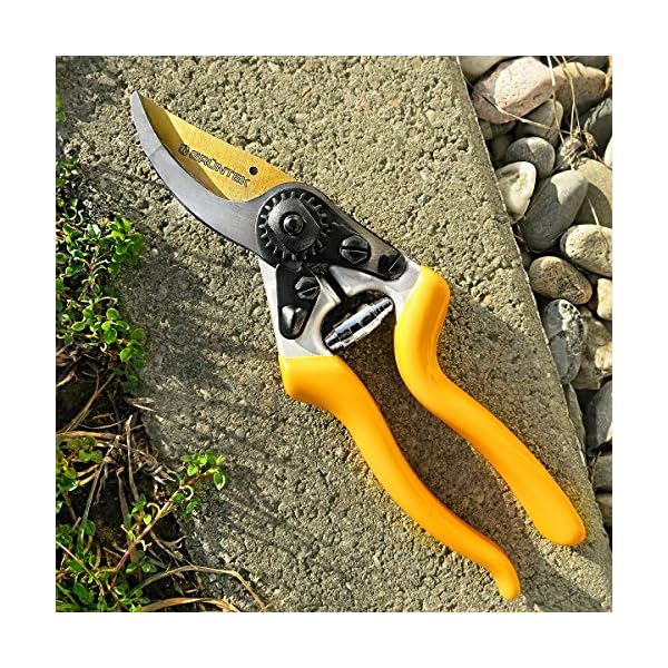 GRÃNTEK Premium Gartenschere Z-25, Geschmiedet, TITAN beschichtete SK5 PrÃ¤zisionsklinge, Baumschere Rebschere Ergonomisch 215 mm, Bypass Rosenschere Antihaftbeschichtet, Zufriedenheitsgarantie – Bild 8
