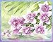 Ravensburger Aquarelle Flowers Arts & Crafts Kit