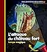 Mes Premieres Decouvertes: L'attaque du chateau-fort by