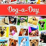 2017 Dog A Day Wall Calendar by
