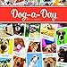 2017 Dog A Day Wall Calendar by