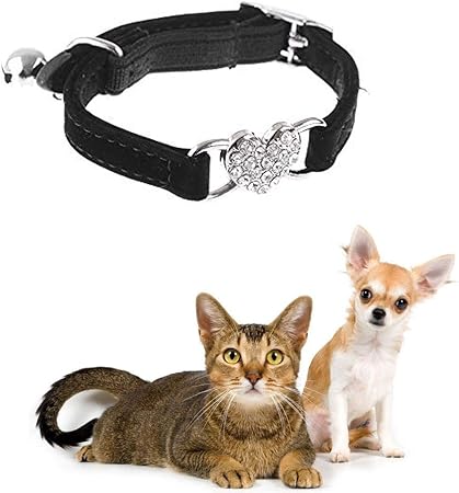 small kitten collars