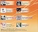 FAIRY TAIL OPENING & ENDING THEME SONGS VOL.2(regular)