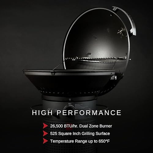 Fuego F24C Professional Propane Gas Grill in Kenya Whizz Propane