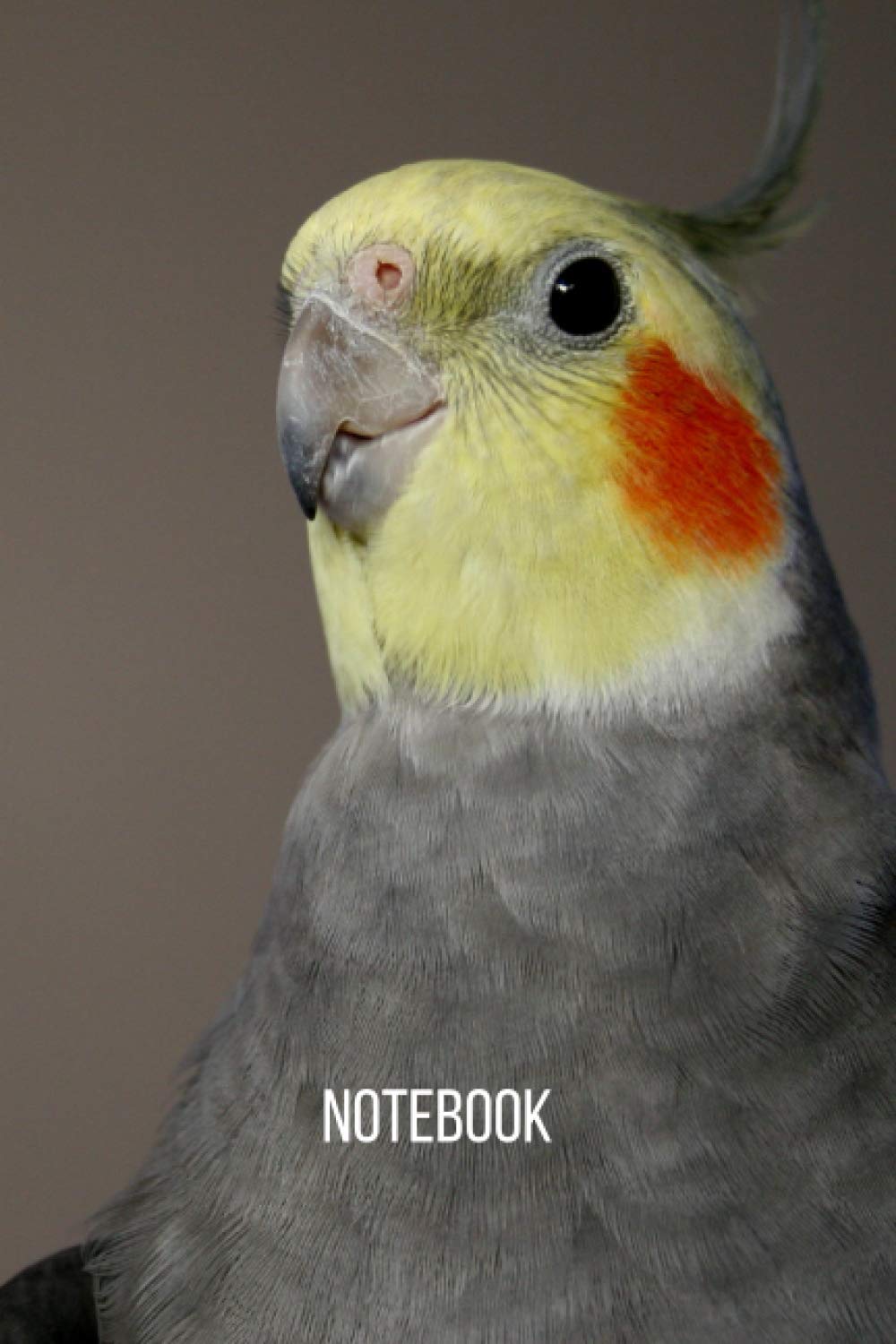 Cockatiel Notebook: blank lined composition journal | Cockatiel notebook | 100 pages