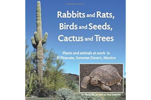 Rabbits and Rats, Birds and Seeds, Cactus and Trees: Plants and animals at work in El Pinacate, Sonoran Desert