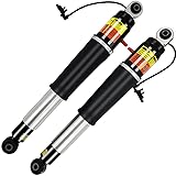 LuftMeister 84176675 Pair Rear Air Lift Shock Strut