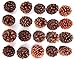 Natural Ponderosa Pine Cones Unique Home Holiday Decoration 3 to 4