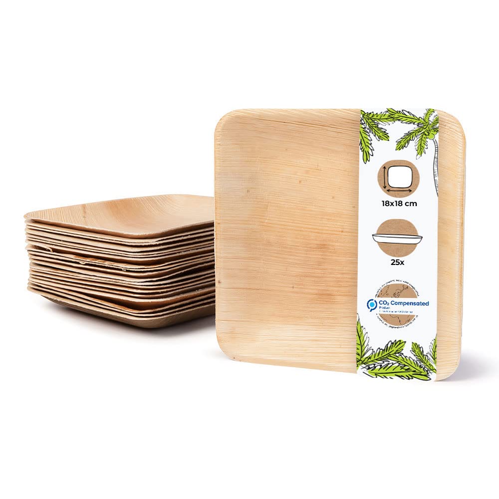 BIOZOYG 25x Palm Leaf Plates 18 x 18 cm - Eco Plates Compostable and Natural Disposable Plates - Square Party Tableware Eco-Friendly