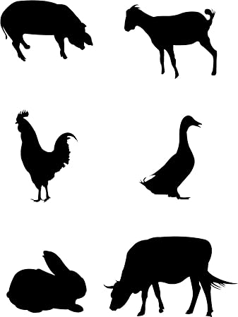 Amazon Com Baby Animals Black And White Sty 2 Wall Decals Wall