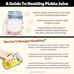 Olive My Pickle Probiotic Pickle Juice - 58.5
