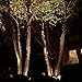 Lumina Lighting 12V Low Voltage Landscape Lighting PVC Adjustable Black Well Light for Yard,Garden,Lawn,Flower Bed or Tree Inground Light with Glass Cover Without Bulb WIL0104-2 (2-PK