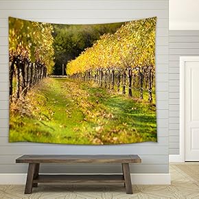 Beautiful Vineyard in Fall - Fabric Wall Tapestry Home Decor - 51x60 inches