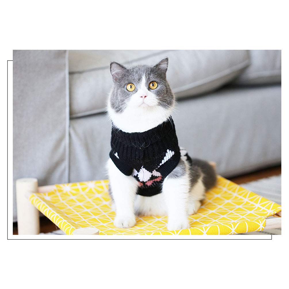 female cat clothes
