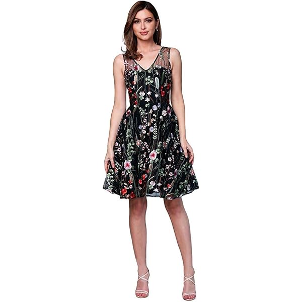 Amazon.com: Donna Ricco New York Womens Black Zippered Floral Sleeveless  Round Evening Hi-Lo Dress 16 : Clothing, Shoes & Jewelry