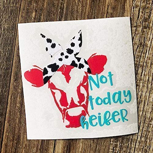 not today heifer yeti