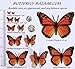 3D MONARCH Butterfly Cake Topper Kit Multi-Sized 30 Butterflies