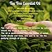 Tea Tree Essential Oil,Premium Therapeutic Aromatherapy Oil,100ML