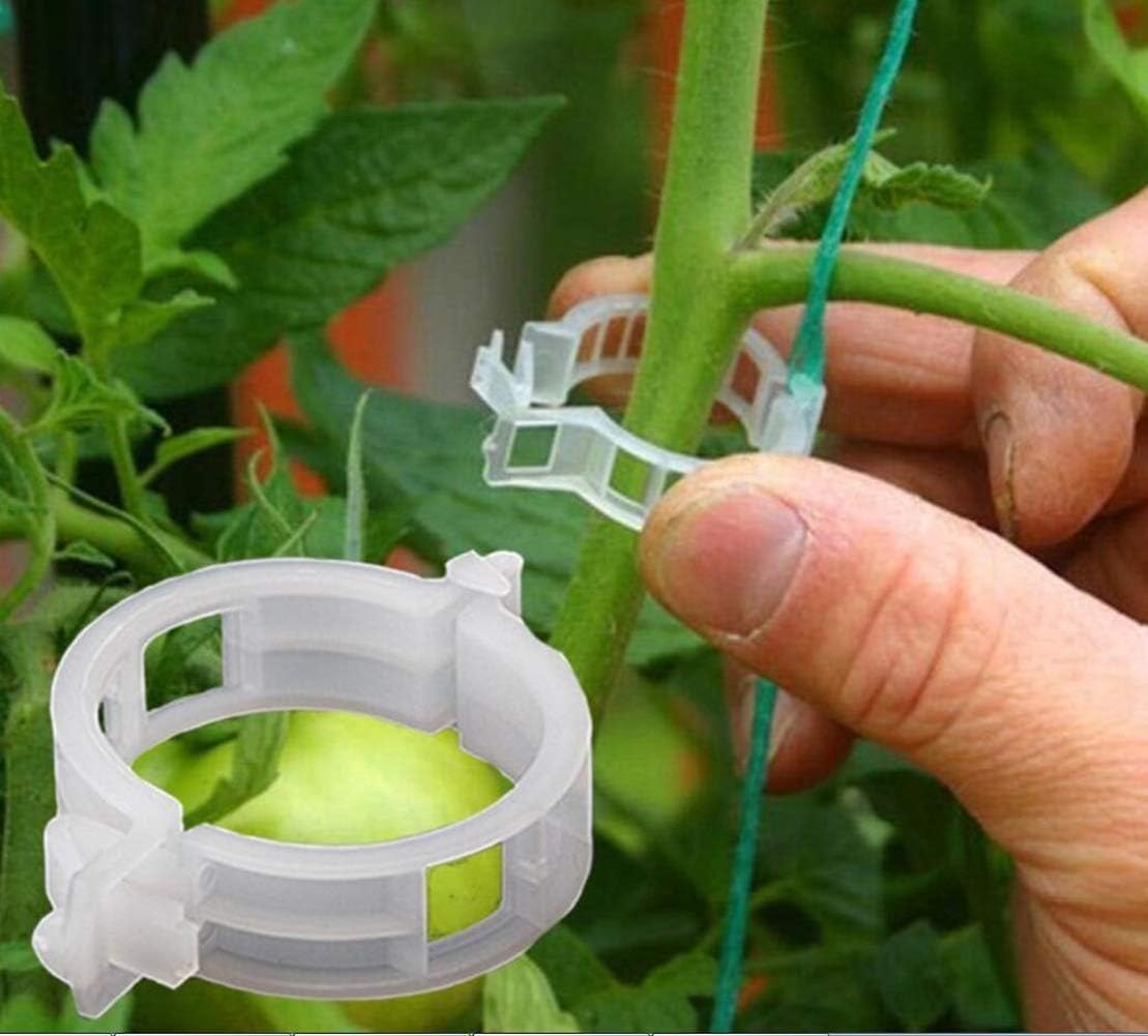 Somtis Clips de sujeción para Plantas, Soporte para Plantas, Clips ...