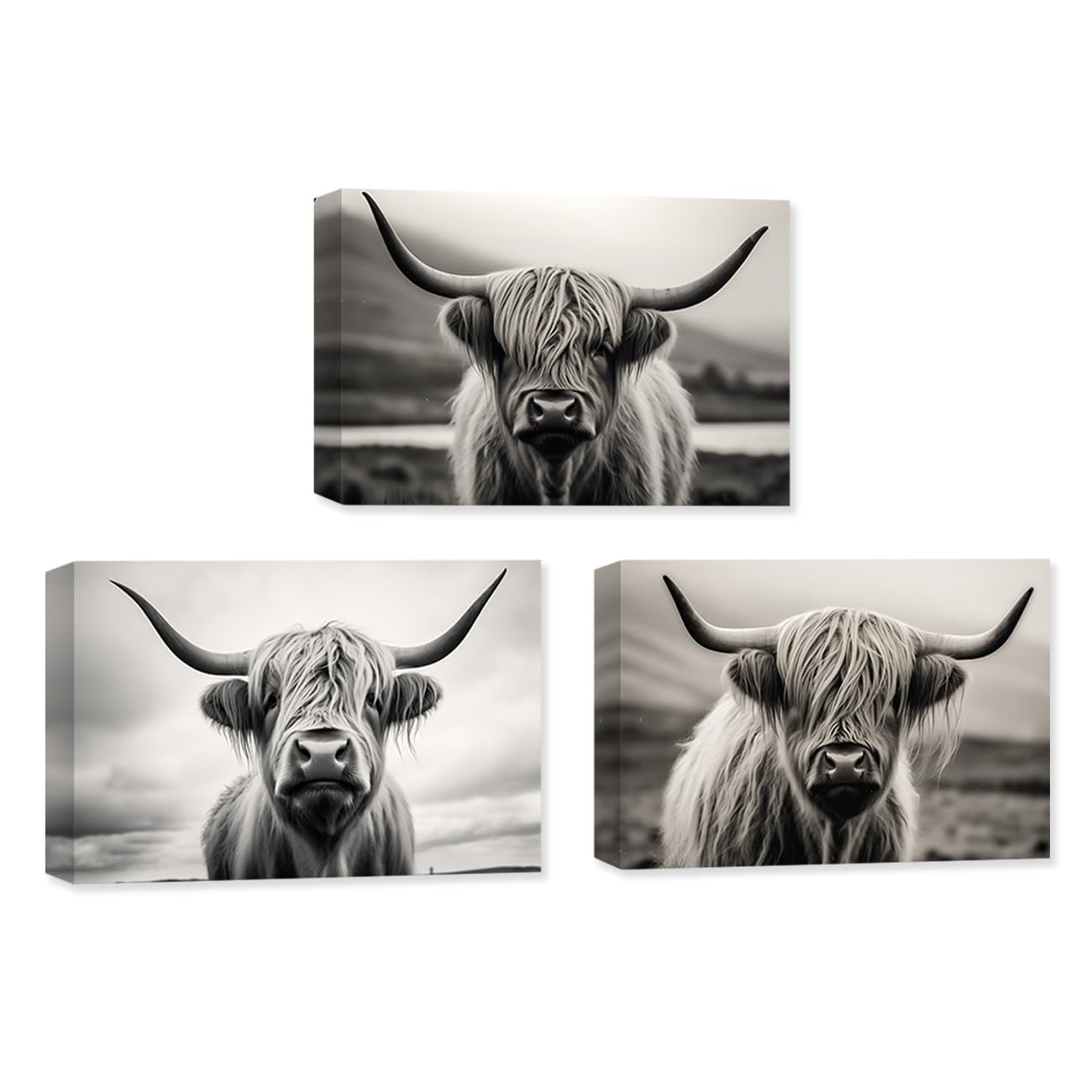 CXHOSTENT 3 Panels Highland Cow Canvas Wall Art Farm Animals Pictures Wall Decor Black and White Cattle Painting Print Decor Frame (Highland Cow - 1, 28x35cmx3Pcs)