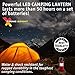 Xtreme Bright Camping Lantern - Fully Collapsible with 7 LED Lights, Weighs only 6 Oz.