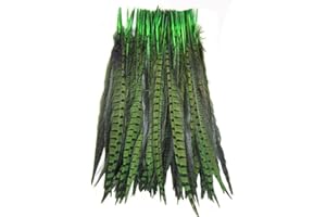 KOLIGHT Set of 10pcs Natural Dyed Pheasant Tails Feathers 12-14 Inch DIY Decoration (Green)