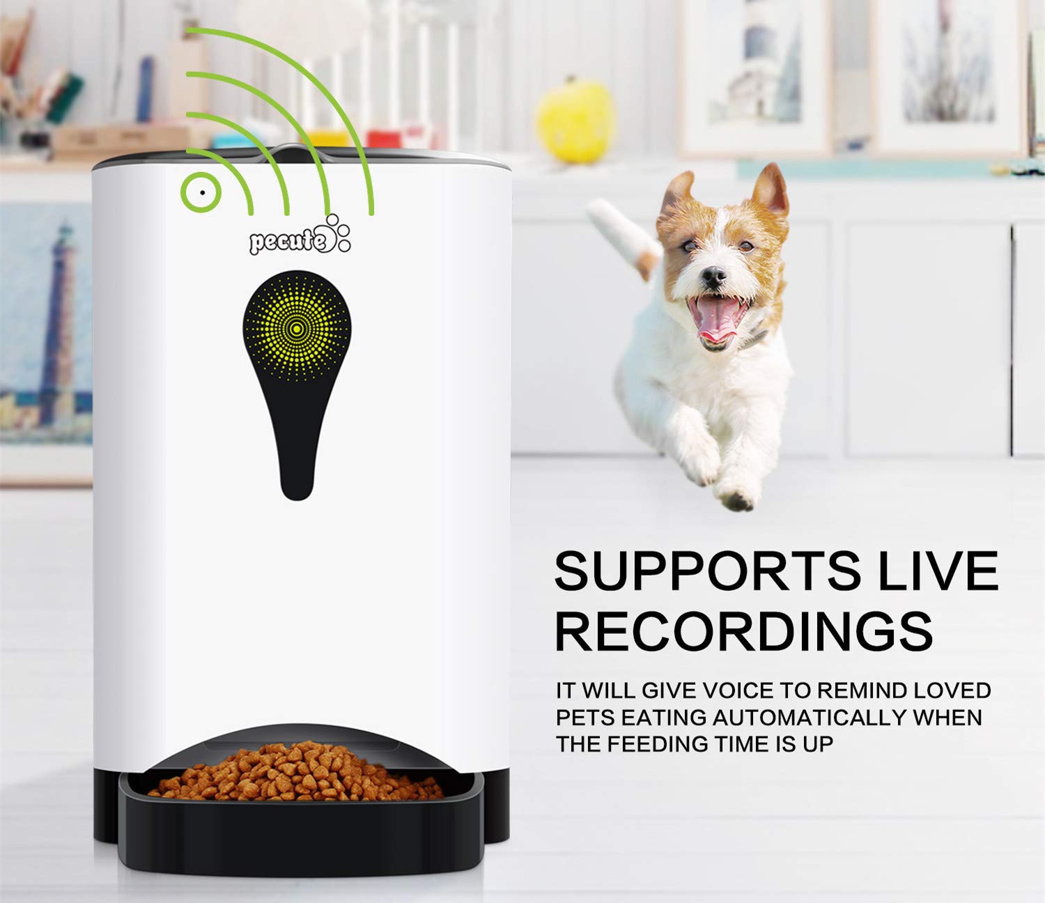 Pecute Automatic Pet Feeder 4.5L Food Dispenser for Dogs,Cats & Small Animals -Portion Control & Voice Recording,Timer Programmable Up to 9 Meals a Day