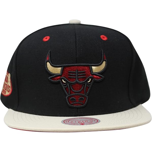 Cappello Chicago Bulls Snapback | Confronta prezzi