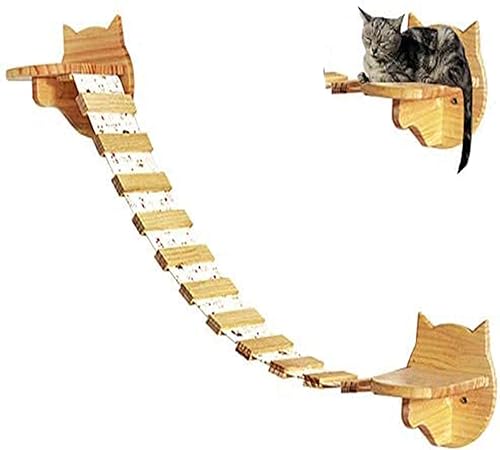 cat ladder amazon
