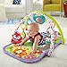 Fisher-Price Woodland Friends 3-in-1 Musical Activity Gym