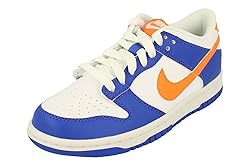 Nike Boy's Dunk Low (Big Kid) Blue Joy/Bright