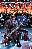 Image de Angel: After the Fall, Vol. 3