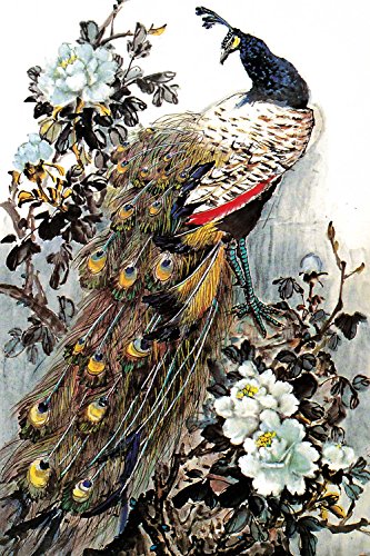 VICTORY-Jigsaw,Intellectiv Games Photomosaic Jigsaw Puzzle Wooden in a Box 1000 Piece 29.5 X 19.6'' Can Be Mural Home Decoration -Peacock Peony Ink Drawing