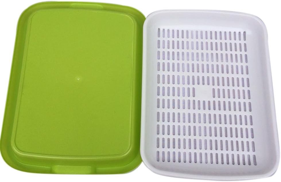 Ardorman Seed Sprouter Tray,Soil-Free Big Capacity Germination Tray, Wheatgrass Grower Double-layer Hydroponics Tray Sprouting Kit For Garden Home Office(Color Random)