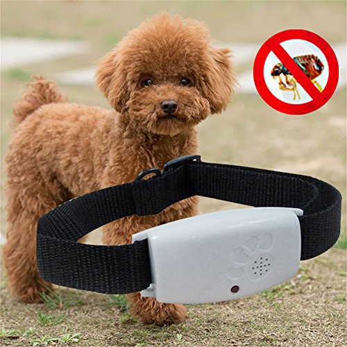 SHZONS Repellent Collar, Pet Ultrasound Insects Repellent Flea & Tick Fly Repellent Dog Collar,Pest Control Collar for Dogs and Cats,2.60×0.83×1.22 in - Thumbnail 3