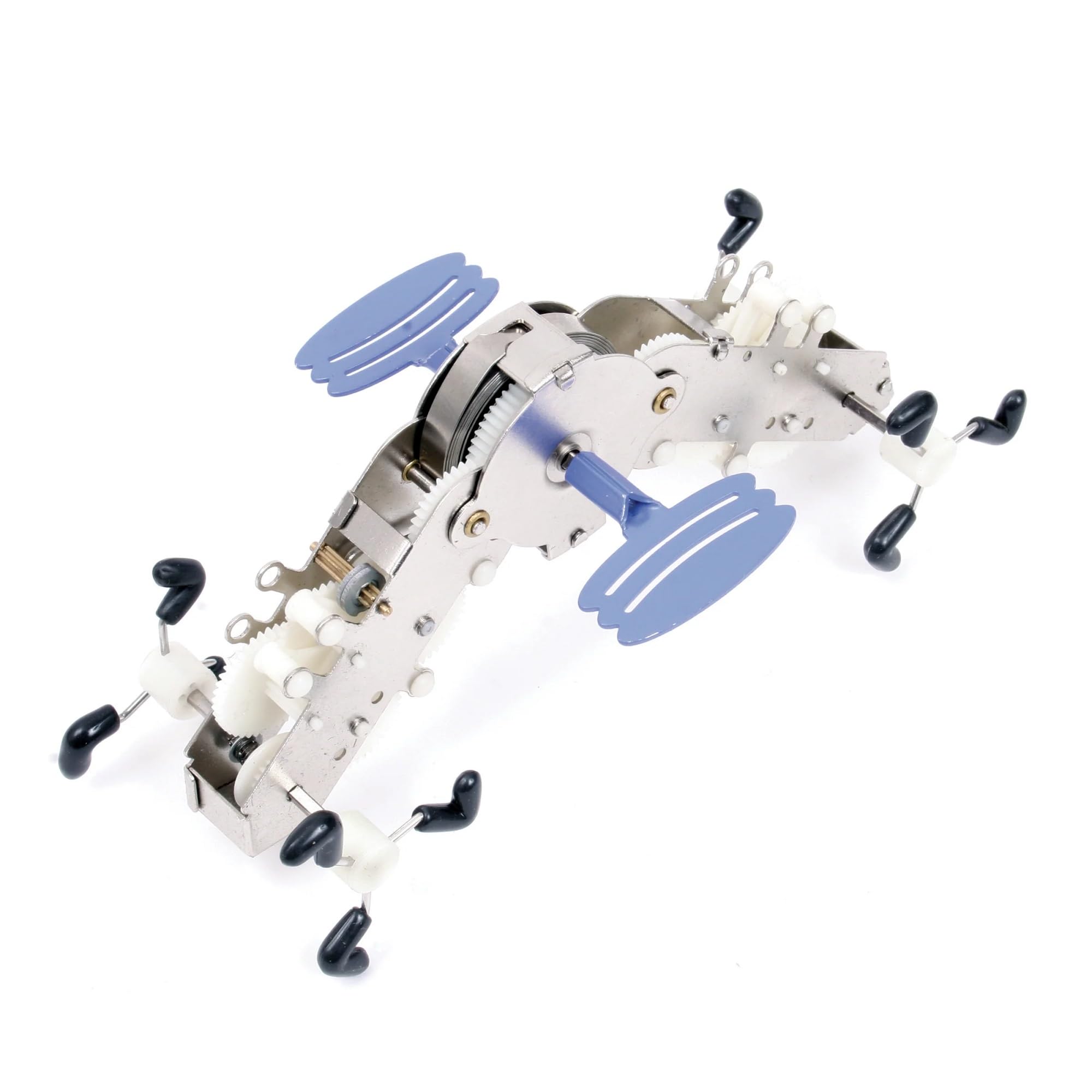 KIKKERLAND Wind Up Le Pinch – Cute Wind Up Pet for Office Desk – Trinkets for Stocking, Easter Basket, or Gift Bag