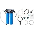 VEVOR Deionized Water System, High-Performance Car Washing Water Deionizer with Built-in TDS Meter, Spotless Water Spot Remover Filter with Dual Outlet Mode, Suitable for Cars, RVs, and Motorcycles