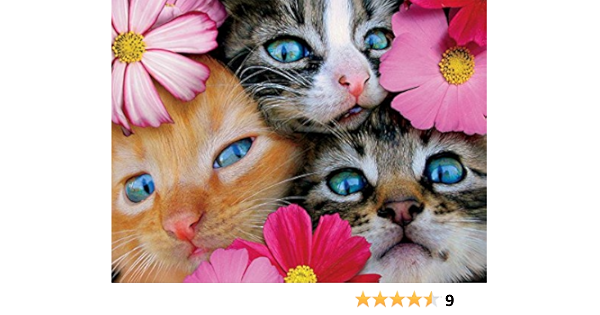 happy kittens puzzle