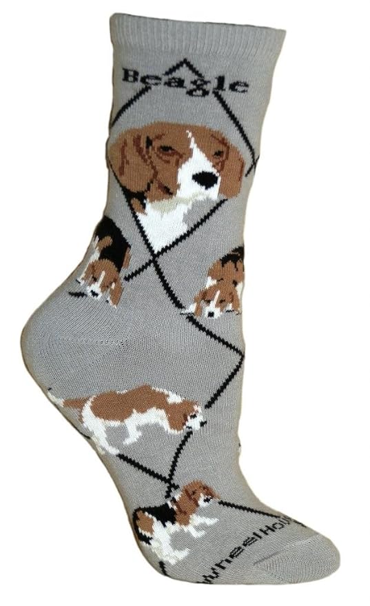 beagle socks h&m