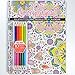 2017 Calendar - Adult Coloring Calendar/Planner - Includes Colored Pencils - Spiral Bound - Designer Organizer 8.5