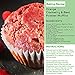 Cricket Flours: Pure Cricket Powder 3.5 oz (Made from Real Edible Insects in Portland, OR) Great High Protein Option for Shakes, Baking, & Recipes