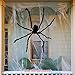 Colonel Pickles Novelties Giant Spider for Halloween Decorations - Large Size at Nearly 5 Feet - Great Party Decor & Props